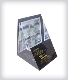 Custom Wedge Prism Acrylic Embedments image