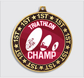 1st Place Medal