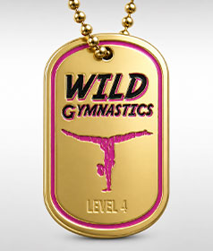 Custom Gold Dog Tags image