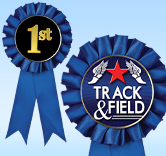 Blue Rosette Ribbon