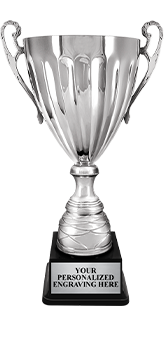 Silver Metal Cup Trophy
