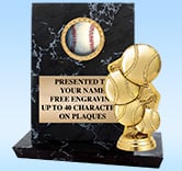 Stadium Insert Plaque