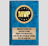 Vertical Insert Plaque