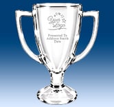 Winner Glass Cup Award