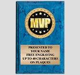 Vertical Insert Plaque Award