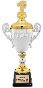Accolade Metal Cups With Figure