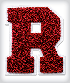Custom Single Chenille Letter image