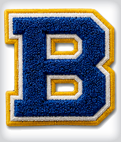 Custom Single Chenille Letter image