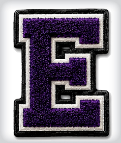Custom Single Chenille Letter image