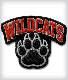 Custom Chenille Sport Patch image