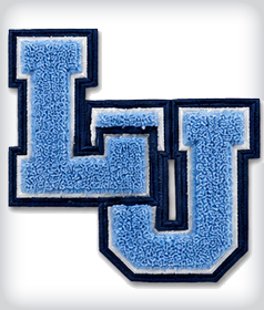 Custom Double Chenille Letter image