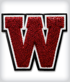Custom Single Chenille Letter image