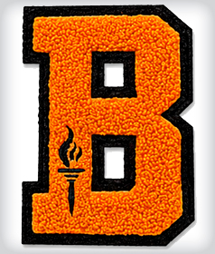 Custom Specially Designed Chenille Letter image