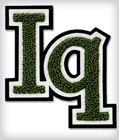 Custom Chenille Letter with Your Colors image