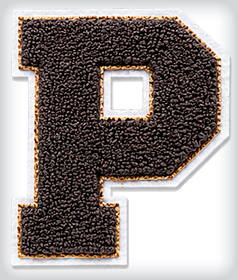 Custom Chenille Letter image