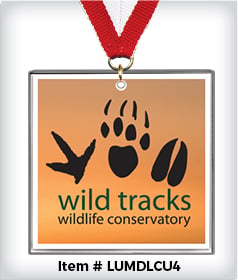 Square Custom 4&rdquo; Acrylic Medal image